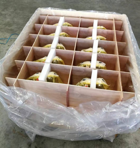 油泵包裝 油泵包裝